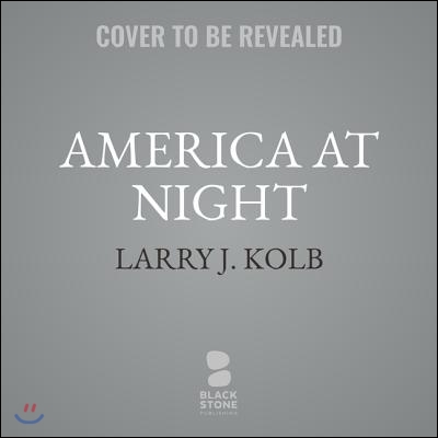 America at Night: The True Story of Two Rogue CIA Operatives, Homeland Security Failures, Dirty Money, and a Plot to Steal the 2004 Us P