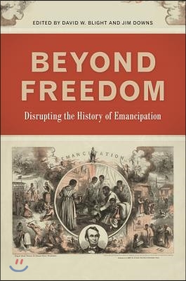 Beyond Freedom: Disrupting the History of Emancipation