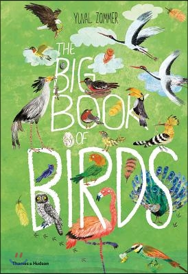 The Big Book of Birds