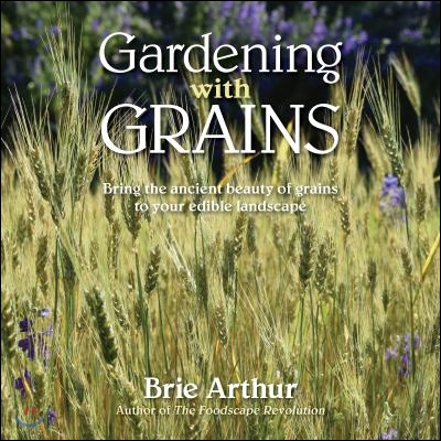 Gardening with Grains: Bring the Versatile Beauty of Grains to Your Edible Landscape