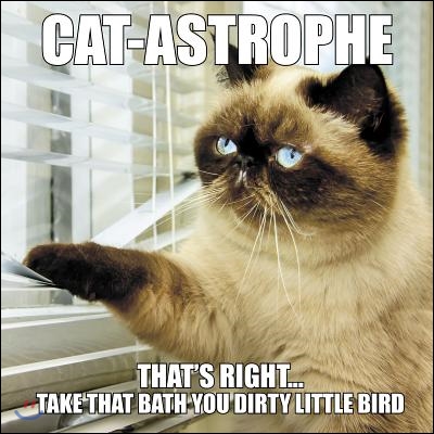 Cat-astrophe