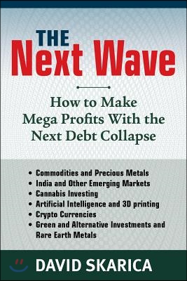 The Next Wave: How to Make Mega Profits with the Next Debt Collapse