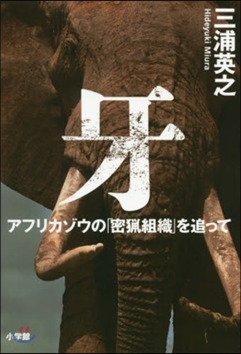 牙 アフリカゾウの「密獵組織」を追って