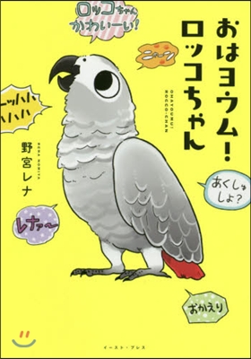 おはヨウム! ロッコちゃん