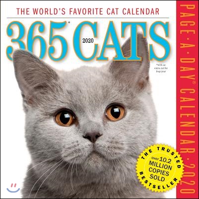 365 Cats 2020 Calendar