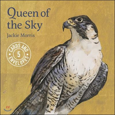 Jackie Morris Queen of the Sky Notecards Pack 1