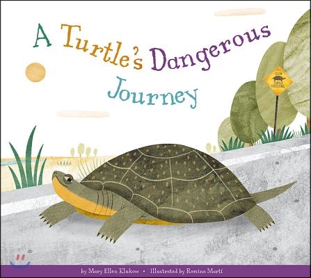 A Turtle&#39;s Dangerous Journey