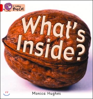 What&#39;s Inside? Workbook