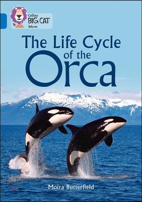 The Life Cycle of the Orca