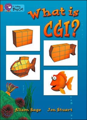 What Is Cgi? Workbook