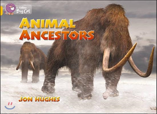 Collins Big Cat - Animal Ancestors Workbook