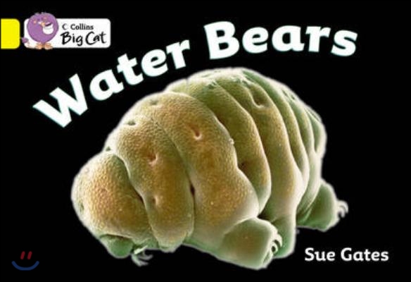 Collins Big Cat - Water Bears