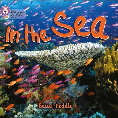 In the Sea: Band 01b/Pink B