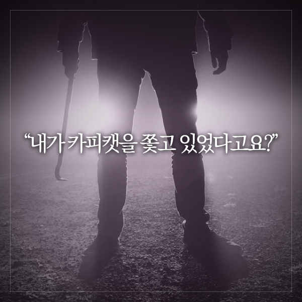 카드뉴스5