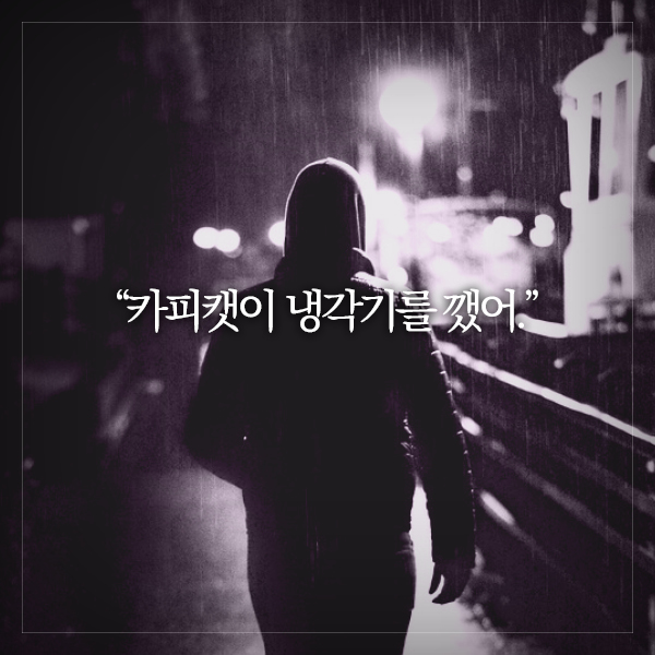카드뉴스11
