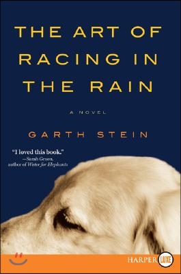 The Art of Racing in the Rain