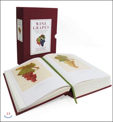 Wine Grapes: A Complete Guide to 1,368 Vine Varieties, Including Their Origins and Flavours: A James Beard Award Winner