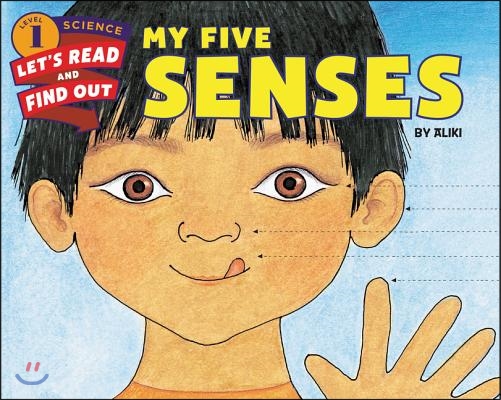 My Five Senses