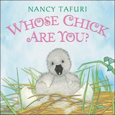 Whose Chick Are You? Board Book: An Easter and Springtime Book for Kids