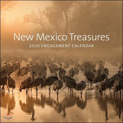 New Mexico Treasures 2020 Calendar