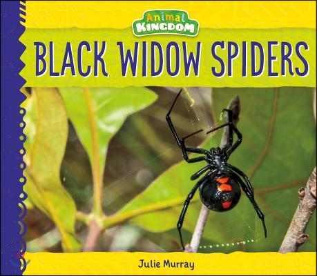 Black Widow Spiders