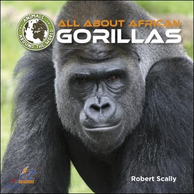 All about African Gorillas
