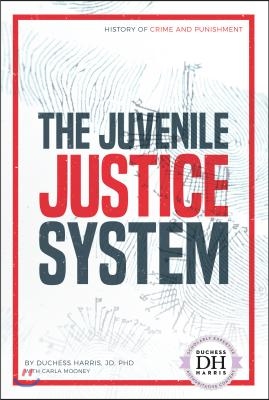 The Juvenile Justice System