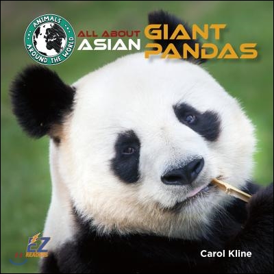 All about Asian Giant Pandas