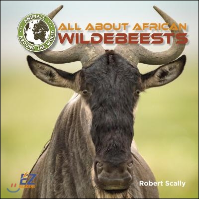 All about African Wildebeests
