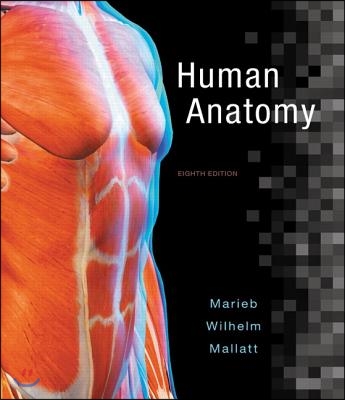 Human Anatomy