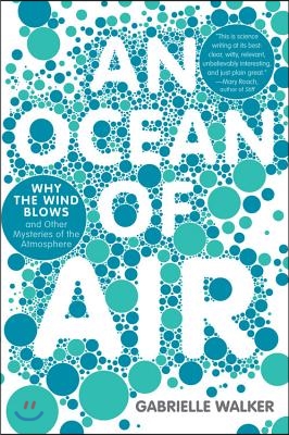 An Ocean of Air: Why the Wind Blows and Other Mysteries of the Atmosphere