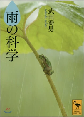 雨の科學