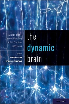 Dynamic Brain: An Exploration of Neuronal Variability and Its Functional Significance