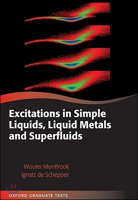 Excitations in Simple Liquids, Liquid Metals and Superfluids