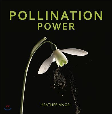 Pollination Power