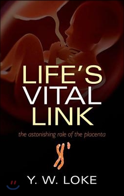 Life&#39;s Vital Link: The Astonishing Role of the Placenta