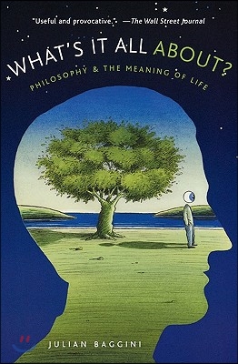What's It All About?: Philosophy and the Meaning of Life