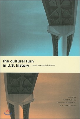 The Cultural Turn in U. S. History: Past, Present, and Future