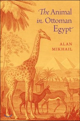 Animal in Ottoman Egypt