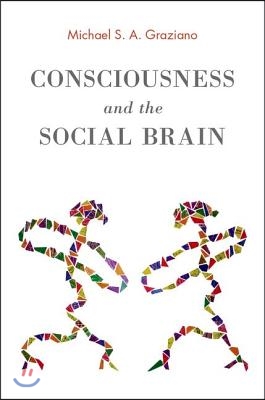 Consciousness and the Social Brain