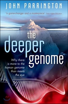 The Deeper Genome: Why There Is More to the Human Genome Than Meets the Eye