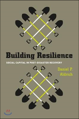 Building Resilience: Social Capital in Post-Disaster Recovery