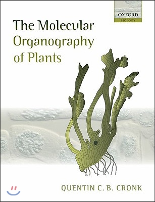 The Molecular Organography of Plants