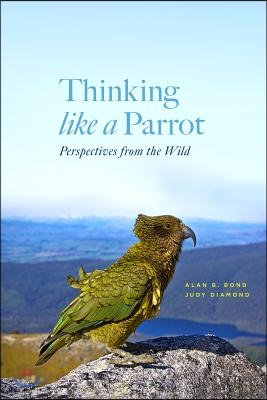 Thinking Like a Parrot: Perspectives from the Wild