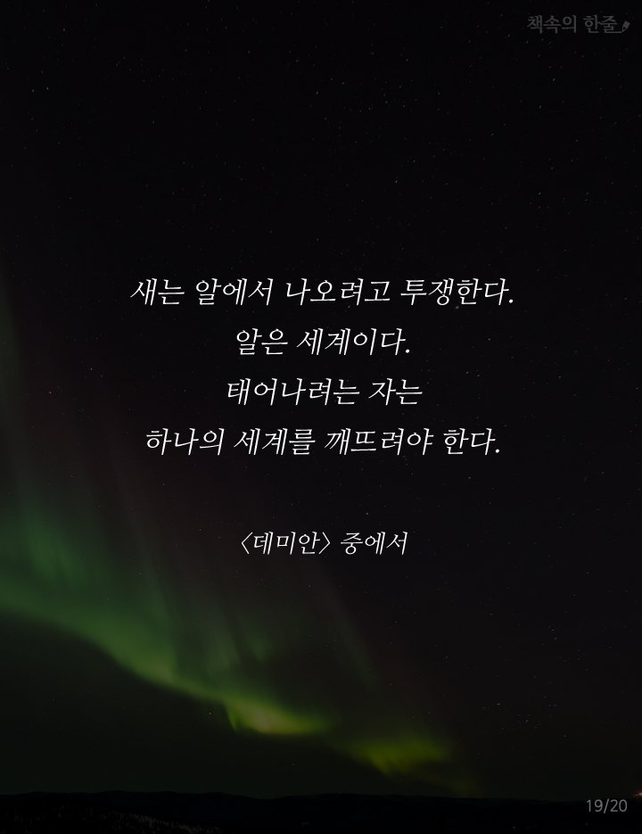 카드뉴스19