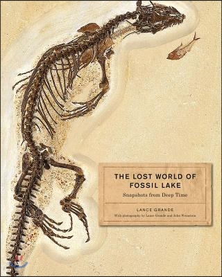 The Lost World of Fossil Lake: Snapshots from Deep Time