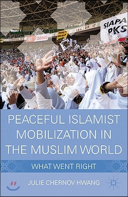 Peaceful Islamist Mobilization in the Muslim World: What Went Right