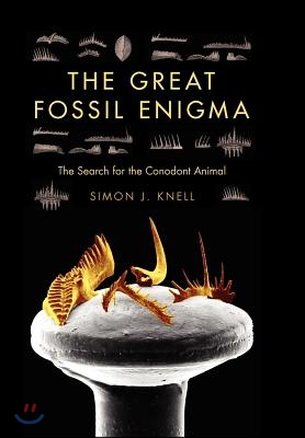 The Great Fossil Enigma: The Search for the Conodont Animal