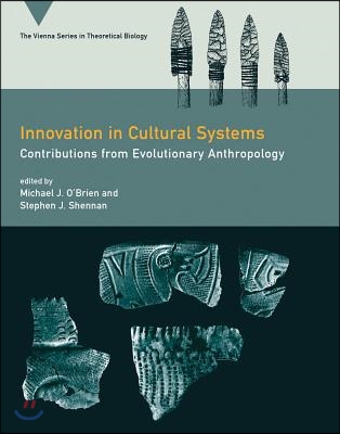 Innovation in Cultural Systems