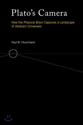 Plato's Camera: How the Physical Brain Captures a Landscape of Abstract Universals